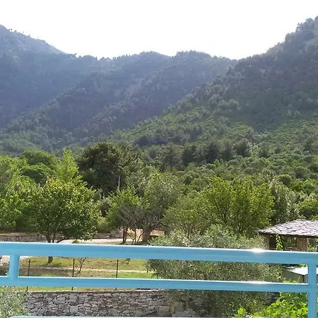 Gaby's * Koinira